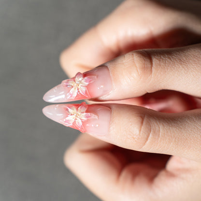 Blossom Ombré